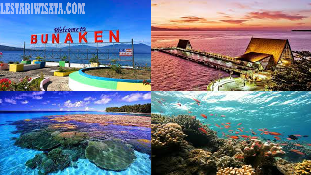 Daya tarik Taman Nasional Bunaken, surga keindahan laut di Sulawesi Utara