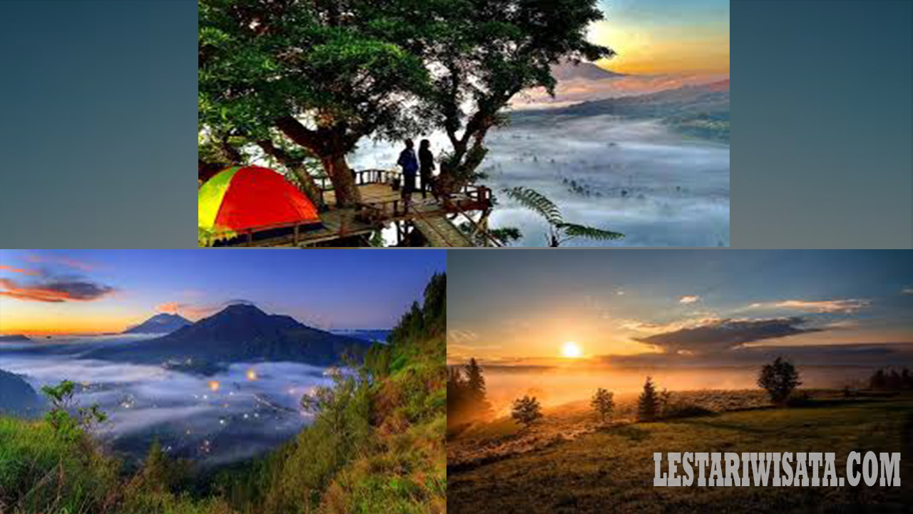 Bukit Desa Pingan, Bali – tempat terbaik untuk menyaksikan matahari terbit di Kintamani