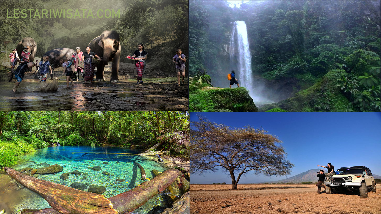 5 Kawasan Konservasi Indonesia dengan Flora dan Fauna Cantik