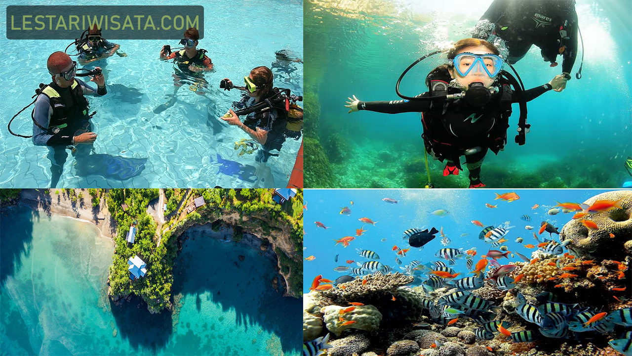 Tempat Wisata Menyelam dan Snorkeling di Indonesia yang Seru