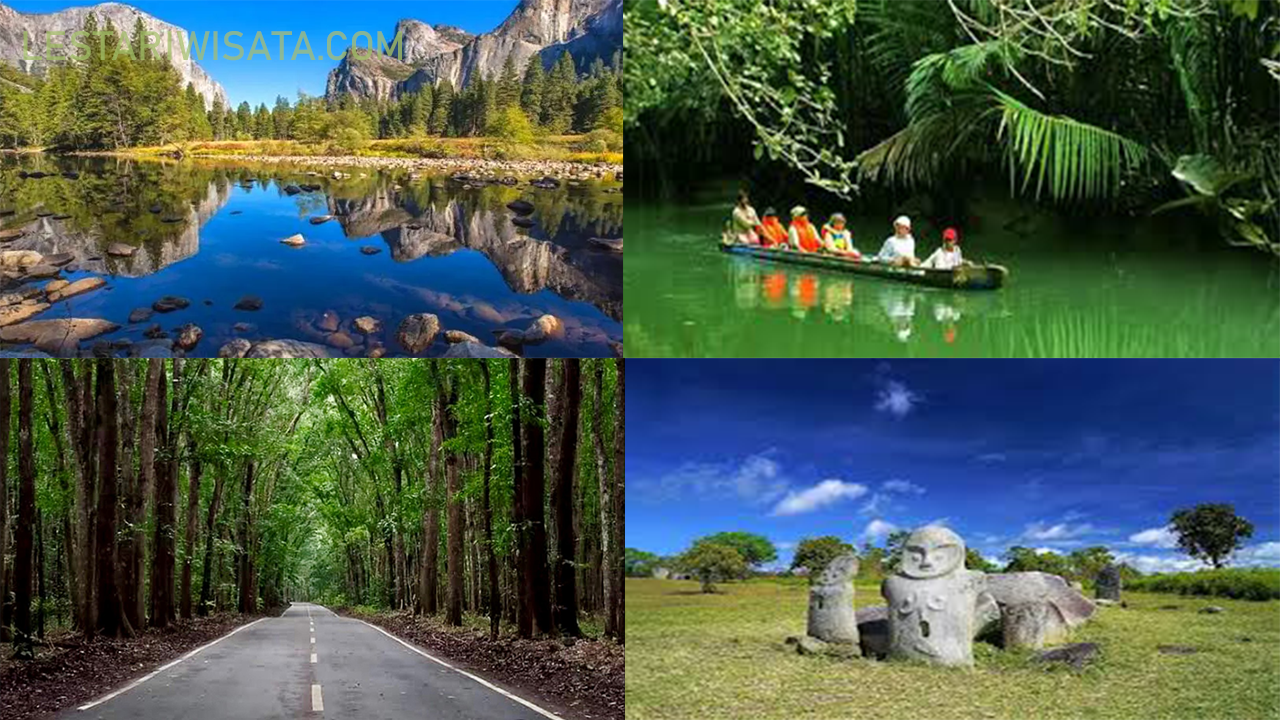 5 lokasi Konservasi Indonesia dengan Flora dan Fauna yang Memikat