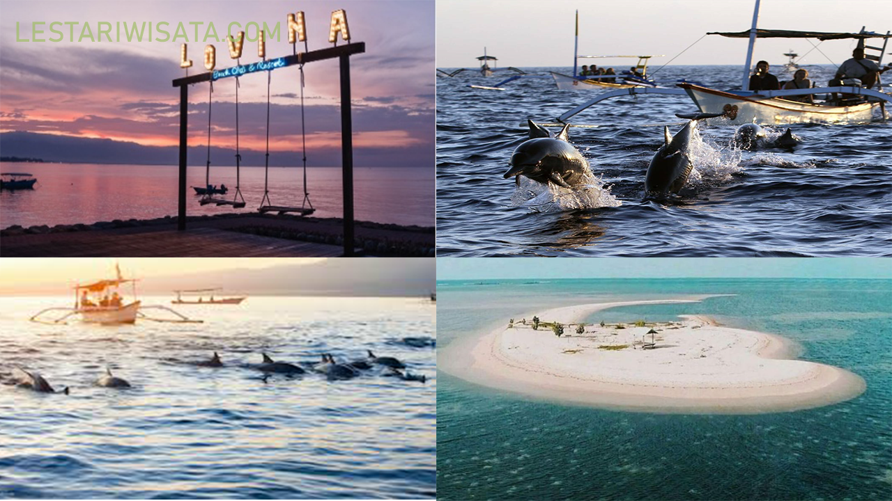 Liburan Keluarga di Pesona Wisata Atraksi Lumba-lumba di Habitat Alami Pantai Lovina, Buleleng, Bali