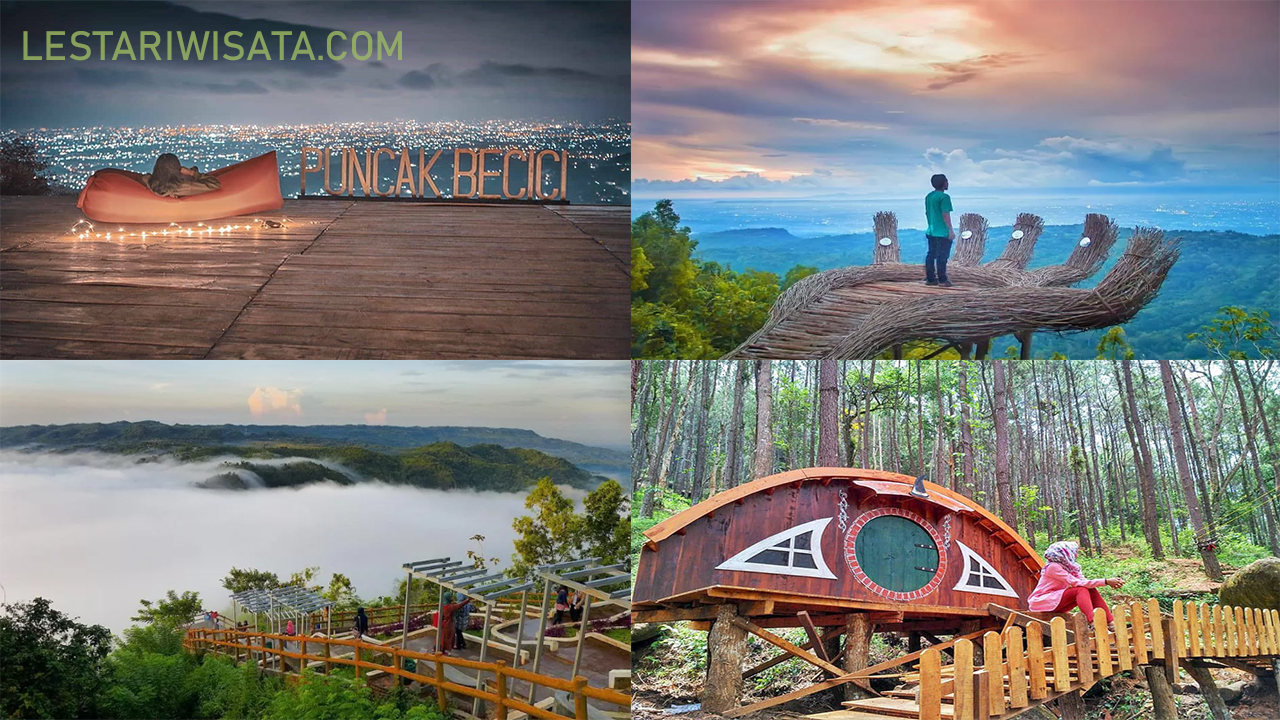 4 Destinasi Wisata Hutan Pinus Instagramable di Jogja