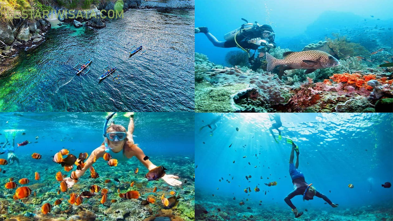 Menjelajahi Keajaiban Dasar Laut: Teluk Kletekan, Surga Tersembunyi untuk Snorkeling di Malang