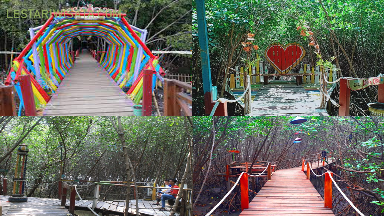 Tak Ada Pasir Putih, Tapi Ada Hutan Mangrove! Ini Eksotisme Tersembunyi Pantai Dubibir Situbondo