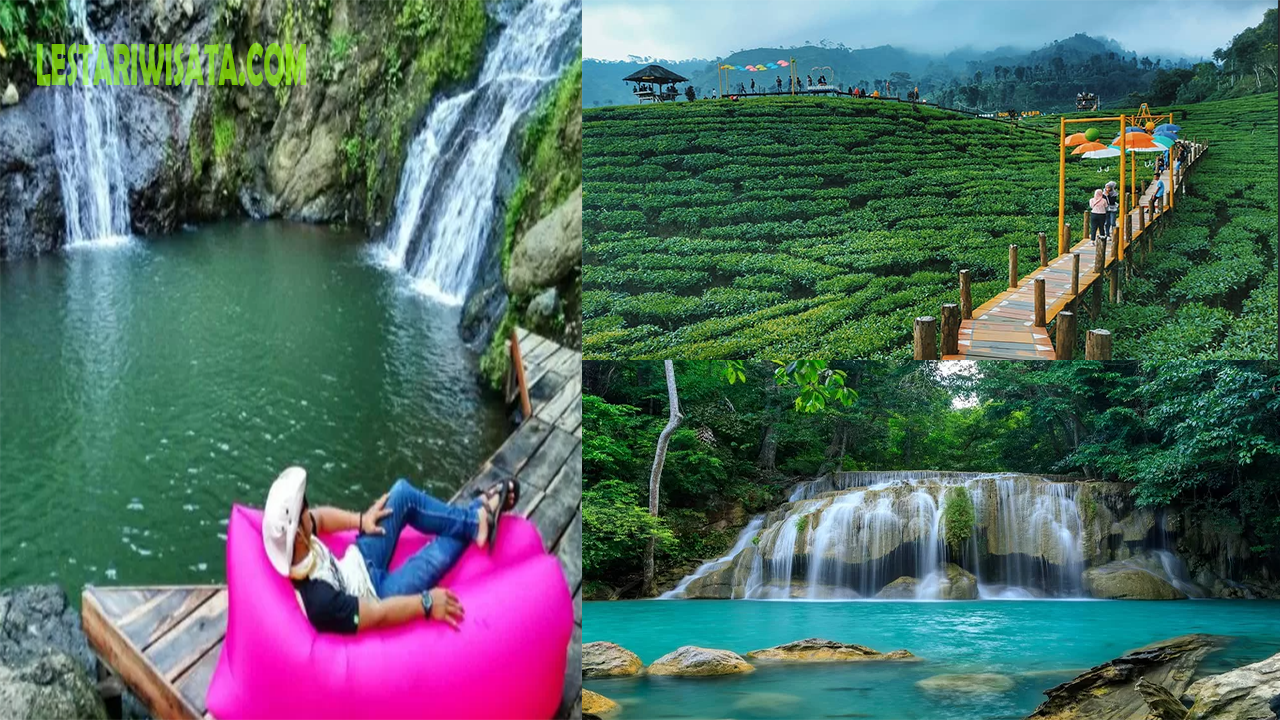 Rekomendasi Destinasi Wisata Alam untuk Mengisi Akhir Pekan di Jember