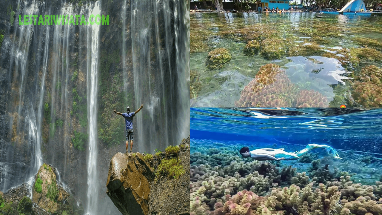 Mau bersantai? Ayo temukan kesejukan di Telaga Semeru, destinasi penuh pesona di Lumajang!