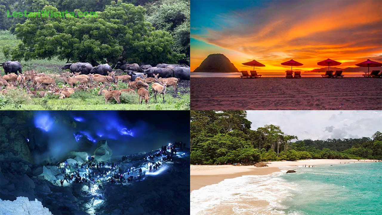 5 Wisata Alam Banyuwangi Paling Memesona yang Wajib Dikunjungi, Nomor 1 Tak Boleh Dilewatkan!